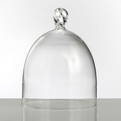 Eleanor Cake Dome Small