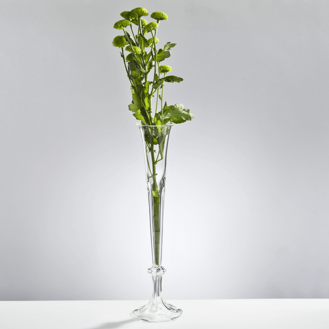 Clear glass vase with green flowers on a gray background