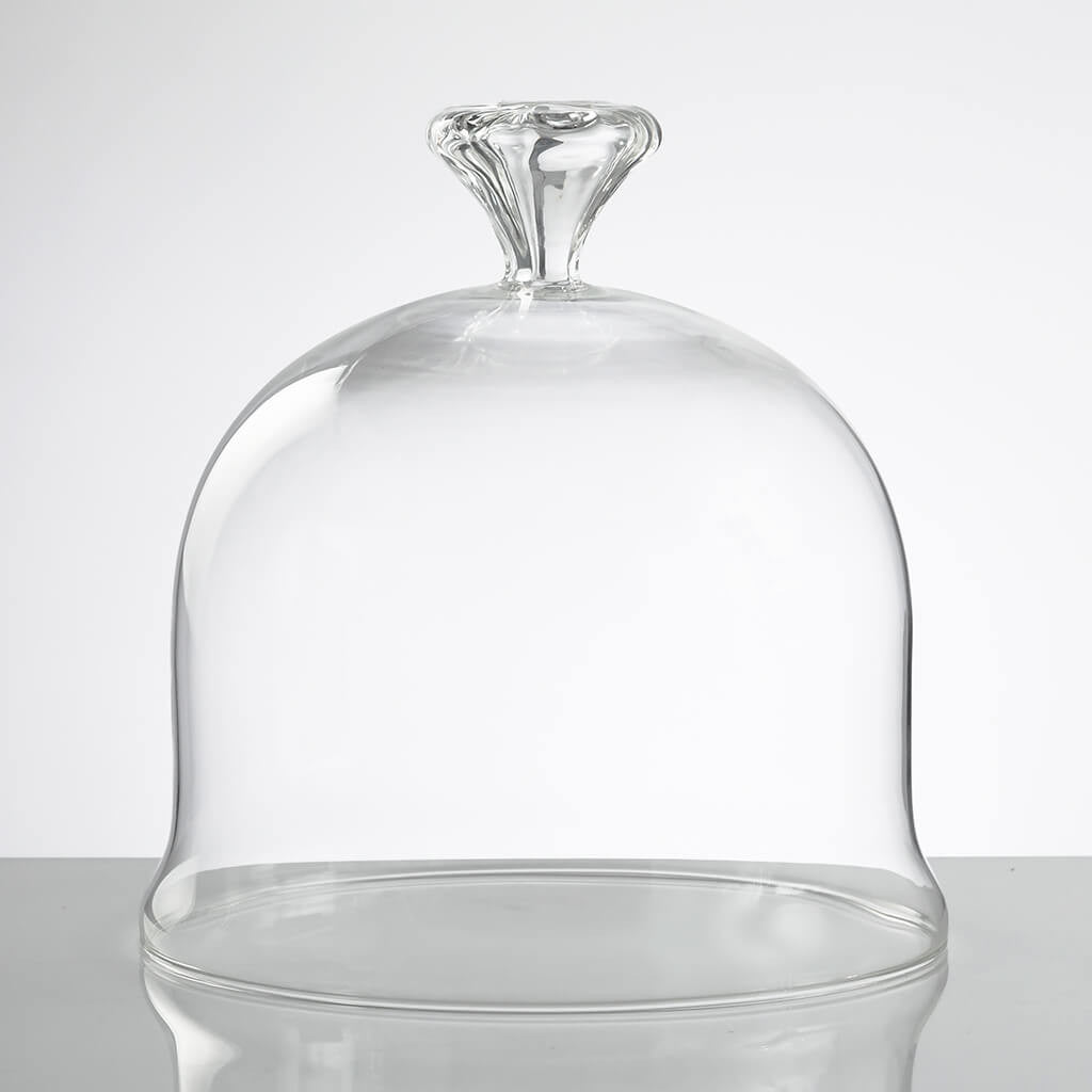 LYS Cake Dome Small
